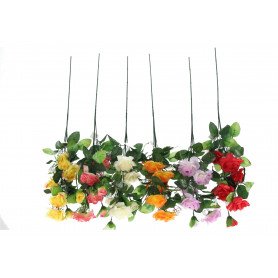 Róża gałązka pojedyncza