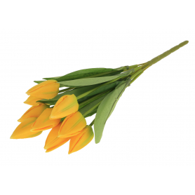 Bukiet Tulipanów 55906 BUA8188