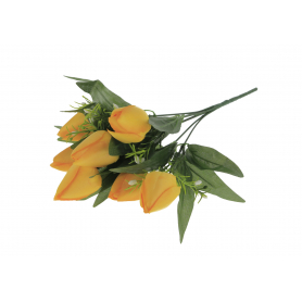 Bukiet Tulipanów x7 51121