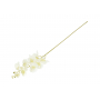 52640-cream_2