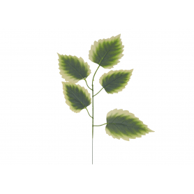 Liść 53984 KPD5070