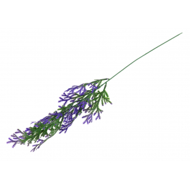 Żywotnik gałązka dodatek 57748