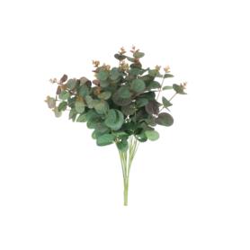 Eukaliptus w bukiecie 51154burgundy green