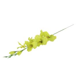Mieczyk gałązka pojedyncza 50185-tt green BL019