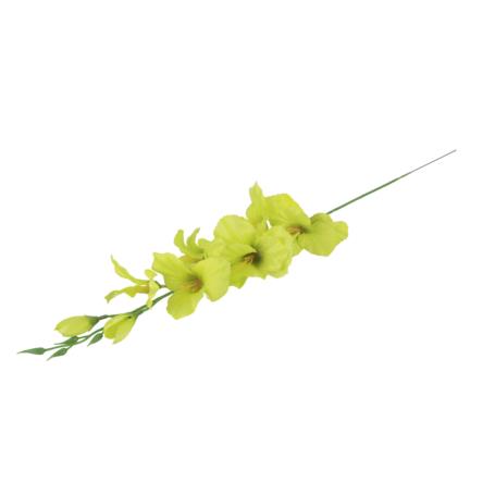 Mieczyk gałązka pojedyncza 50185-tt green BL019