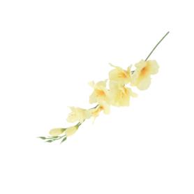 Mieczyk gałązka pojedyncza 50185-dk cream BL019
