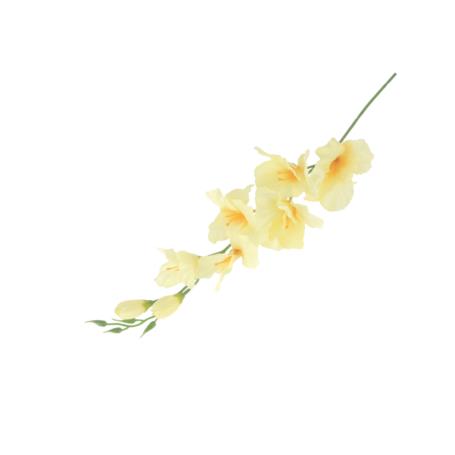 Mieczyk gałązka pojedyncza 50185-dk cream BL019