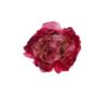 Kwiaty sztuczne piwonia główka 16cm 52406-1730 SUN406