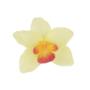 Kwiaty sztuczne storczyk wyrobowy 52415-lt green L021