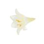Kwiaty sztuczne lilia trąbka wyrobowa 54531- cream L005