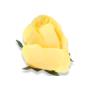 Róża główka kwiatowa 51553-new yellow  F036