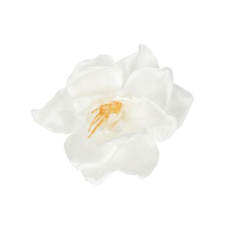 Amarylis główka kwiatowa 55010-white