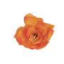 Kwiaty sztuczne amarylis 56455-6 G304