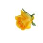 Kwiaty sztuczne róża wyrobowa 59513-10 G310