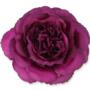 Kwiat sztuczny MARY ROSE 59678-dk purple