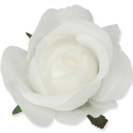 Róż Oklahoma główka kwiatowa 54393 W27 9489