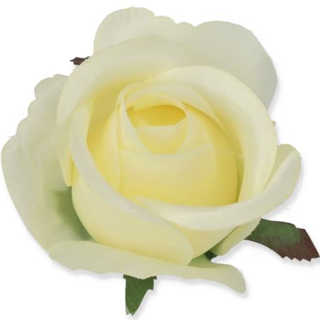 Róż Oklahoma główka kwiatowa 54393 CR400 9489