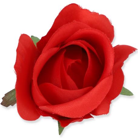 Róż Oklahoma główka kwiatowa 54393 RE147 9489