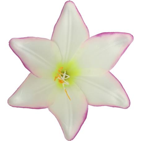 Lilia główka kwiatowa 55573 ye pu 0286