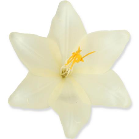 Lilia główka kwiatowa 55573 ivory 0286