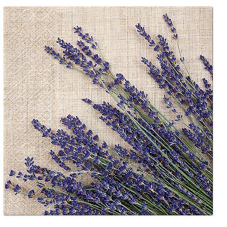 Serwetki Decor Lunch Perforowane  SDL126500