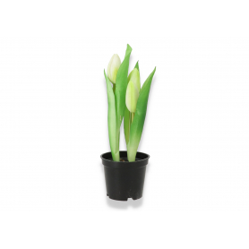 Tulipan w doniczce gumowy 50943