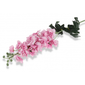 Ostróżka pojedyncza  56266