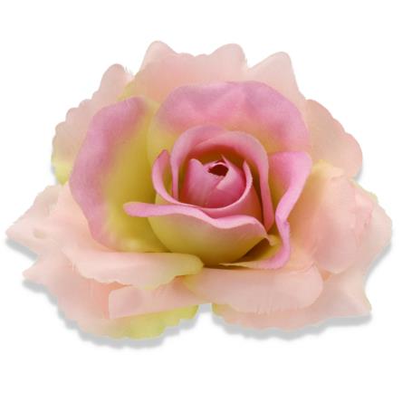 Róża Sonia główka kwiatowa 53384 GR462