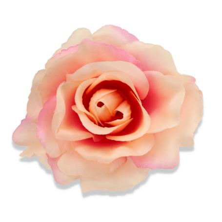 Róża Sonia główka kwiatowa 53384 PI435