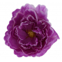 Piwonia główka kwiatowa 51449-dk lilac K089