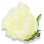 Róża główka kwiatowa 54631 krem FXT001