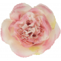 Róża MARY ROSE głowka kwiatowa 59678-pk ma gn 743B