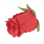 Róża główka kwiatowa 59661-1746 SUN412