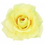 Róża główka kwiatowa 58634-new cream green BL010