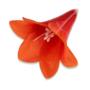 Lilia mini główka kwiatowa 52076 8 2791