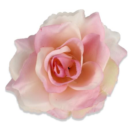 Róża Sonia główka kwiatowa 53384 PI441 3349
