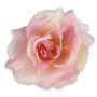 Róża Sonia główka kwiatowa 53384 PI441 3349