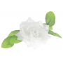 Róża z listkiem  główka kwiatowa 54803 white a041