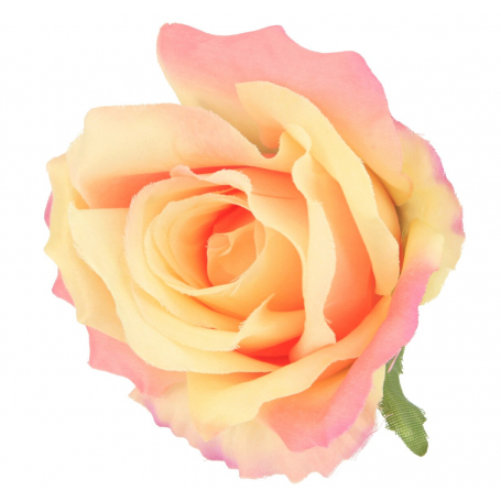 Róża główka kwiatowa 53433-AN038