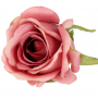 Róża główka kwiatowa 52452-46 MGHT