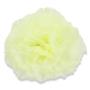 Kwiaty sztuczne goździk wyrobowy 52087-green cream K087