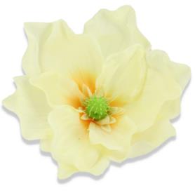 Magnolia główka kwiatkowa  56608 lt yellow