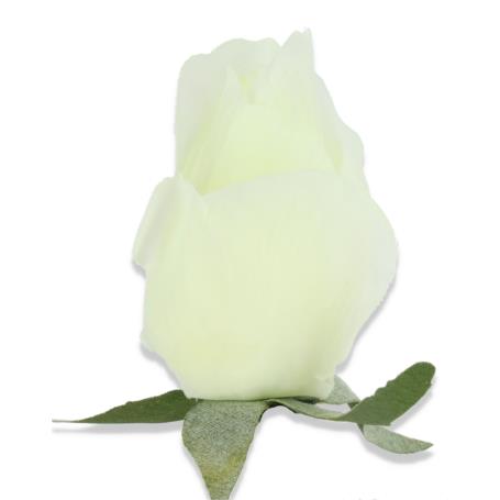 Róża głowka kwiatowa 56243 cream
