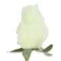 Róża głowka kwiatowa 56243 cream