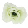 Róża główka kwiatowa 50213-cream zo22