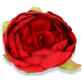 Piwonia  główka kwiatowa 52602-red N006
