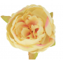 Piwonia głowka kwiatowa 52602-lemon green N006