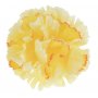Kwiaty sztuczne goździk wyr. 52531-cream orange k317