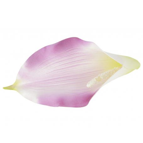 Kalla piankowa główka kwiatowa 56332-CLK14 11-002