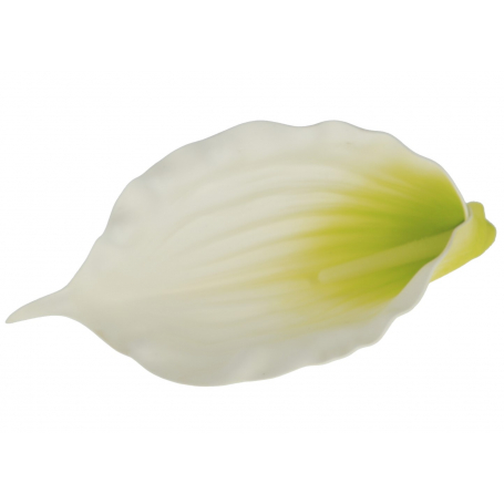 Kalla piankowa główka kwiatowa 55002 cream green